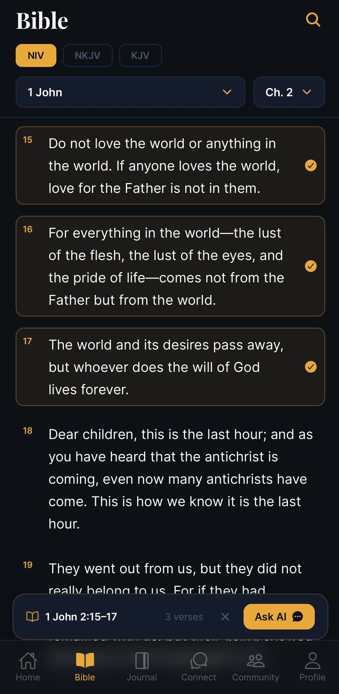 Bible reader screen